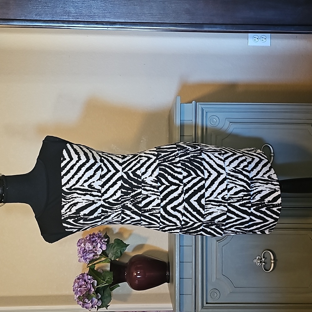 🎀 Enfocus  Studio Zebra Print Dress